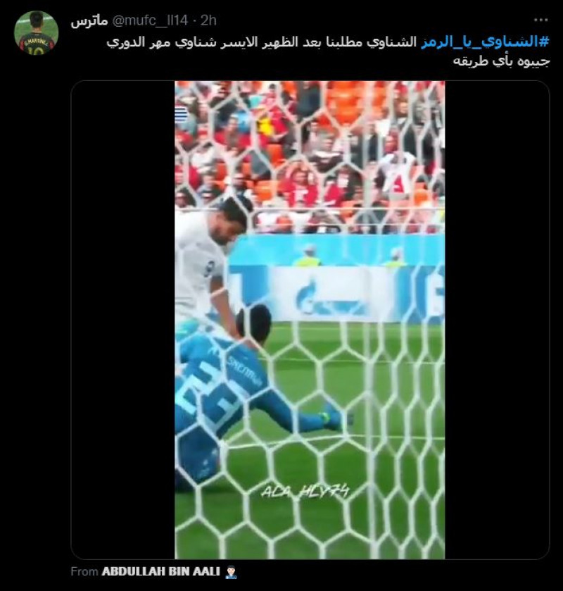 محمد الشناوي