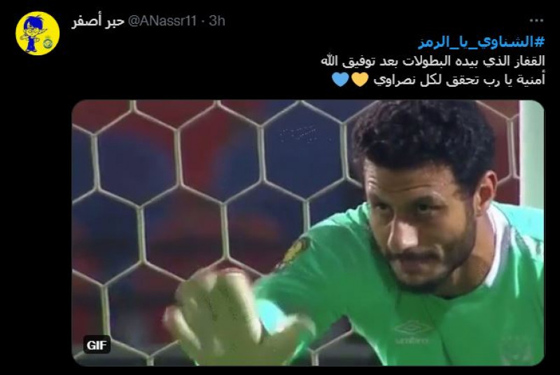 محمد الشناوي