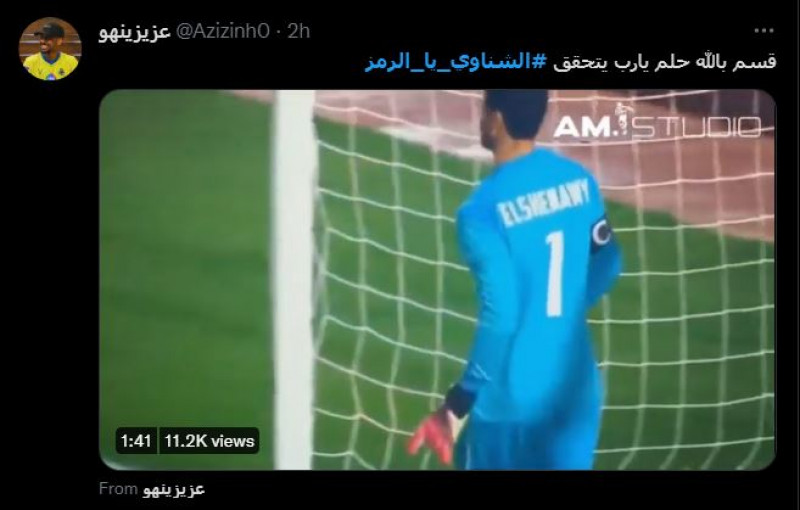 محمد الشناوي