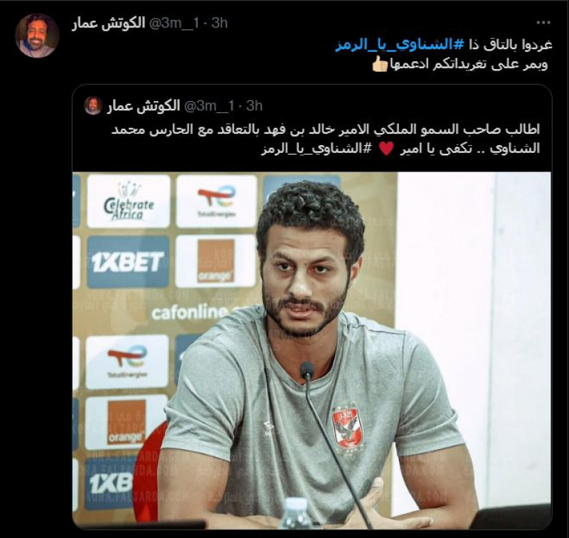 محمد الشناوي